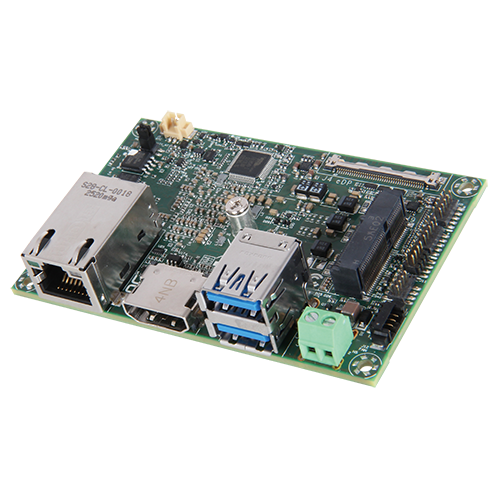 FEMTO-8010